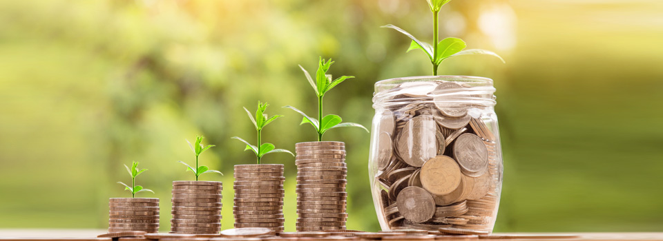 681c117179856.jpg 5cda20052d1d9.jpg