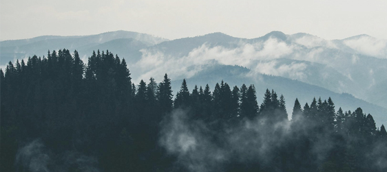 681c11f5404cf.jpg 5cdad8ac244c2.jpg