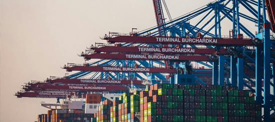 681c160429699.jpg 5cdad182c0b33.jpg